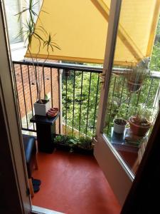 a view of a balcony with potted plants at Homey Budget Bedroom in Amsterdam