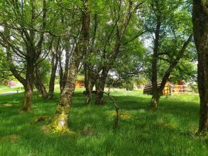 Zahrada ubytování Glendalough Glamping - Adults Only