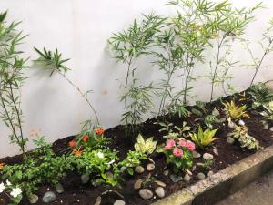 un giardino di piante e fiori in un cornicione di Simply Ur Home in Lucena a Lucena