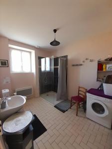 uma casa de banho com um chuveiro, um lavatório e uma máquina de lavar roupa em Au doux refuge em Saint-Exupéry-les-Roches