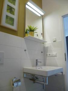 La salle de bains est pourvue d'un lavabo et d'un miroir. dans l'établissement Ferienwohnung am Bienenfeld, à Ettenheim