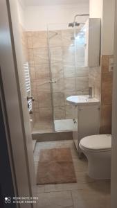 ein Bad mit einer Dusche, einem WC und einem Waschbecken in der Unterkunft Apartament Maria in Gura Humorului
