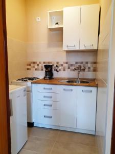 Kuchyň nebo kuchyňský kout v ubytování Apartments with parking spaces Porec - 2285