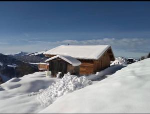 冬天的Chalet avec jacuzzi - 150 m des remontées