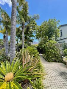 a garden with palm trees and a walkway at Constantiaberg Eco-Villa in Cape Town