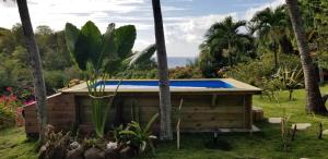 a swimming pool in a yard with palm trees at Gites Cabazat in Bouillante