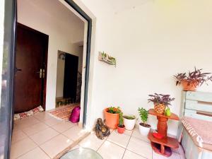 Imagem da galeria de Impeccable apartment with view in Dolna Matka em Skopje
