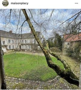 ein entwurzelter Baum vor einem großen Gebäude in der Unterkunft Grande ferme à 50min de Paris in Le Plessis-Placy