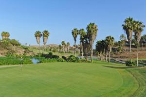 マスパロマスにあるSalobre Los Dragos 6のヤシの木が茂るゴルフコースの景色を望めます。