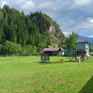 a park with a playground with a mountain in the background at Cazare La Piatra Buhei in Câmpulung Moldovenesc