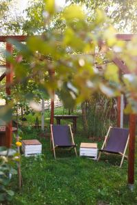 two chairs sitting in the grass in a garden at Glamping - Projekt Alpaka in Garbatka-Letnisko