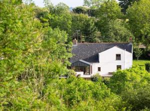 a white house in the middle of trees at Cosy Cottage in Wild Countryside by Llys-y-Fran in Pembrokeshire