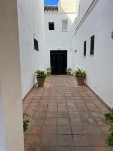 a hallway of a white building with potted plants at Apartamento en calle Rocio-Triana in Seville