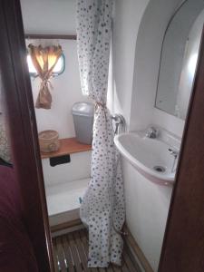 uma casa de banho com um lavatório e uma cortina de chuveiro em Capitaine Zephyr em Beaucaire