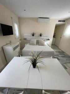 セビリアにあるApartamento en calle Rocio-Trianaのベッド2台と鉢植えの植物がある部屋