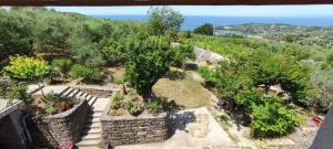 a view of a garden with a tree on a hill at Apartma Ivan in Portorož