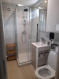 een badkamer met een douche, een toilet en een wastafel bij Résidence Lawawi prés de la gare au calme in Albertville