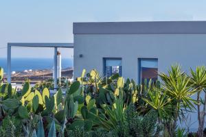 a house with a lot of plants in front of it at Syros Luxury Living in Rózia