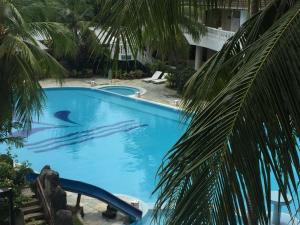 波德申PD Bayu Beach Resort Private Service Apartment的一座大型蓝色游泳池,水中养着鸟