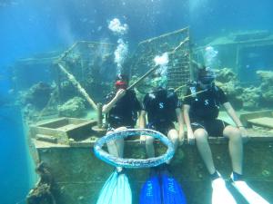 un grupo de tres personas sentadas en un acuario en Dive Time Villa en Eilat