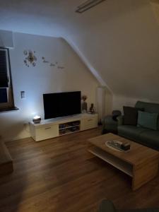 TV a/nebo společenská místnost v ubytování Ferienwohnung bei Natie