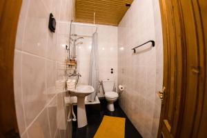 a small bathroom with a toilet and a sink at Ozon Gudauri in Gudauri
