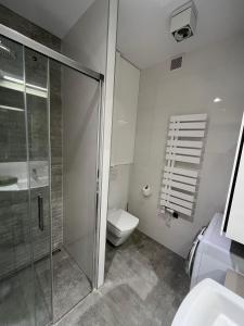 Kúpeľňa v ubytovaní Apartamenty Olimpijska 1B & 1T