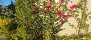 Afbeelding uit fotogalerij van Mardakan Villa in Baku +78 foto's