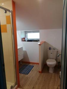 a small bathroom with a toilet and a window at Appartement a la campagne in Grièges