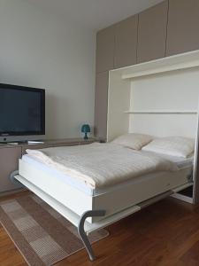 um quarto com uma cama e uma televisão de ecrã plano em Apartment in München em Munique