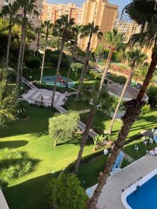 una vista aerea su un parco con palme di Precioso apartamento en Urbanización junto al mar. ad Alicante