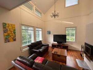 a living room with a couch and a tv at Pan Golf & Spa Villas in Imatra