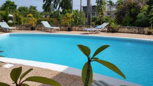 Bazén v ubytování Chaudhry Holiday House Montego Bay nebo v jeho okolí
