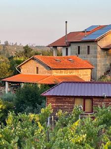 eine Gruppe von Häusern mit orangefarbenen Dächern in der Unterkunft Quinta do Cobral in Oliveira do Hospital