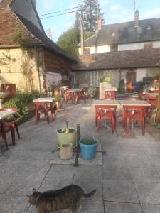 a cat standing on a patio with tables and chairs at Auberge Du Bon Coin in Moulins-Engilbert