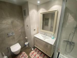 a bathroom with a sink and a toilet and a shower at Tourist rent Apartment in Istanbul