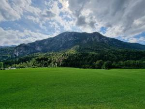 a large green field with a mountain in the background at Apia House in Unken