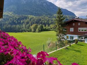 ein großes Feld mit einem Haus und Blumen in der Unterkunft Apia House in Unken