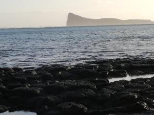 a view of the ocean with a mountain in the background at Les Filaos De Pereybere in Pereybere