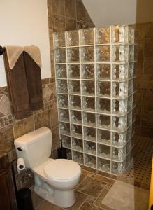 a bathroom with a toilet and a glass block wall at River's Bend Lodge in Cascade