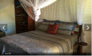 Postel nebo postele na pokoji v ubytování Morere Jungle Lodge