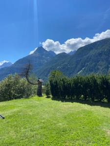 ein Grasfeld mit Bergblick in der Unterkunft Raimund Mrak Dependance in Längenfeld