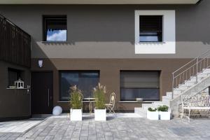 Apartment Peskoller في فالزيس: منزل به فناء به نباتات الفخار