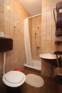 a bathroom with a toilet and a shower and a sink at Apartment Selce 2379b in Selce