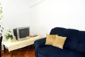 a living room with a blue couch and a tv at Apartments with a parking space Valbandon, Fazana - 2310 in Fondole