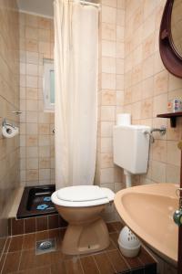 a bathroom with a toilet and a sink at Apartments and rooms with parking space Selce, Crikvenica - 2379 in Selce