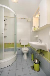 a bathroom with a toilet and a sink and a shower at Apartments with a parking space Njivice, Krk - 2391 in Njivice