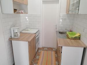 Kuchyňa alebo kuchynka v ubytovaní Apartments with parking spaces Selce, Crikvenica - 2381