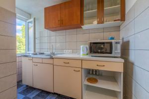 Kuchyňa alebo kuchynka v ubytovaní Apartments with parking spaces Selce, Crikvenica - 2381