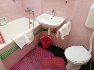 Kúpeľňa v ubytovaní Apartments with parking spaces Selce, Crikvenica - 2381